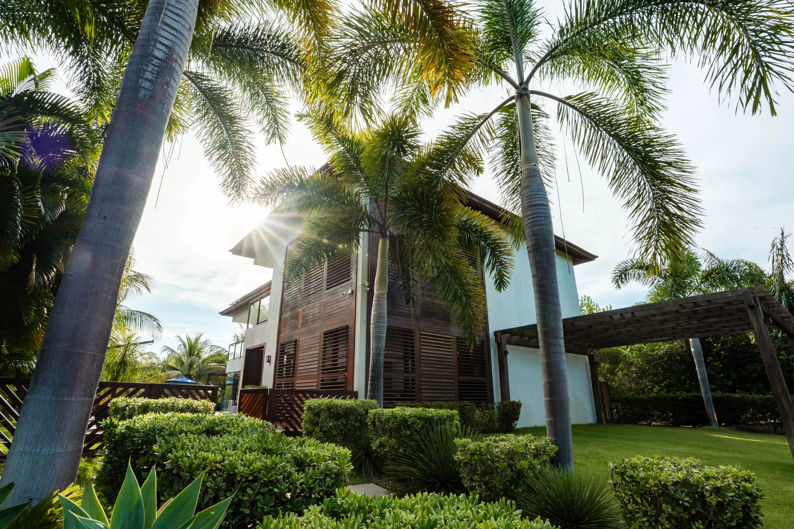 Image hover effect image